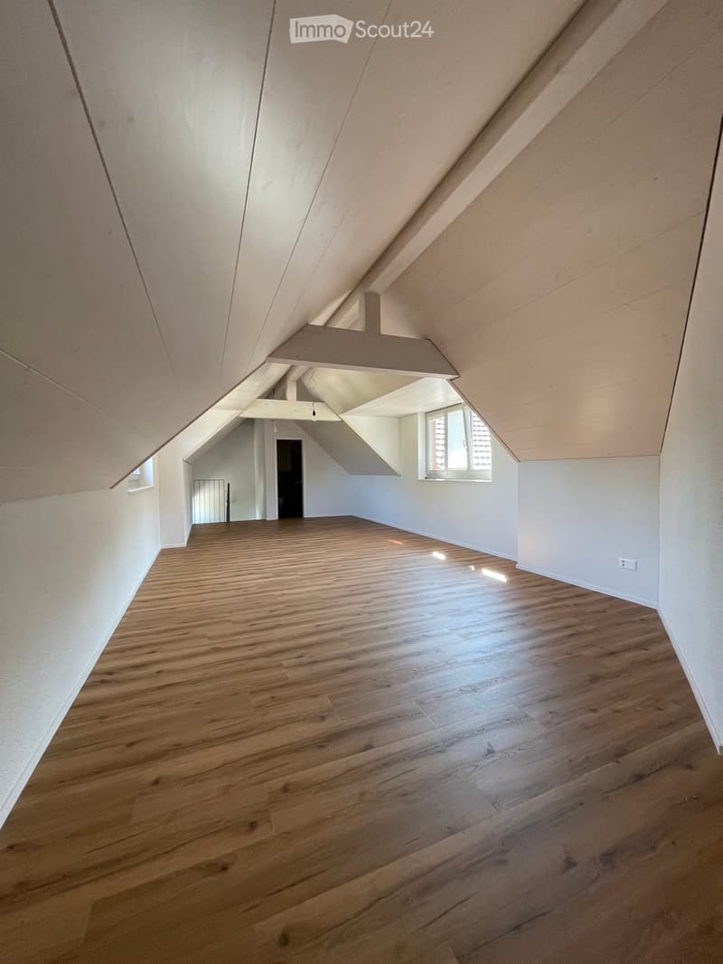 Empty attic space with wooden flooring, white walls, and skylight windows.