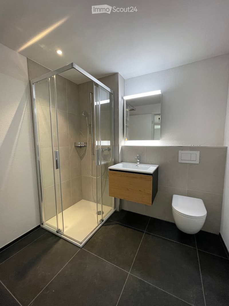 Modern bathroom with a glass-enclosed shower, a wooden vanity with a sink, a toilet, and a large mirror with built-in lighting.