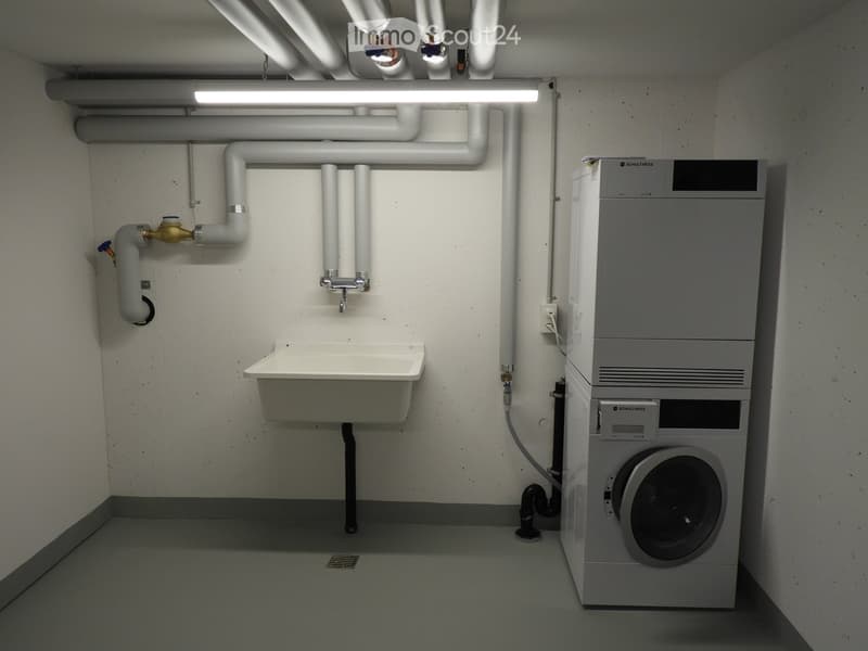 Utility bathroom with a sink, washing machine, and exposed pipes.