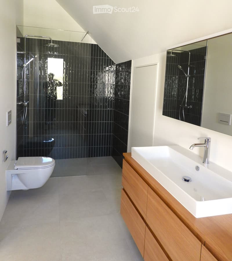 Modern bathroom with a white toilet, a wooden vanity with a white sink and chrome faucet, and a black-tiled shower area with a glass enclosure.