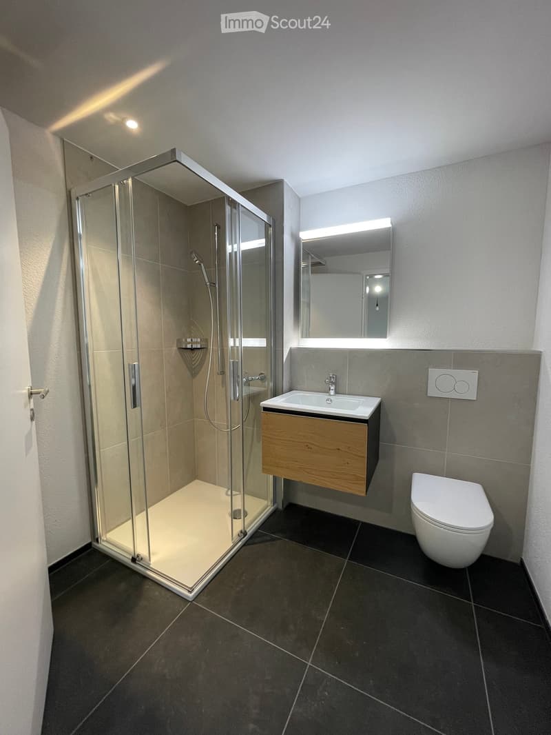 Modern bathroom with a glass-enclosed shower, a white sink with wooden cabinet, a toilet, and a large mirror with built-in lighting.