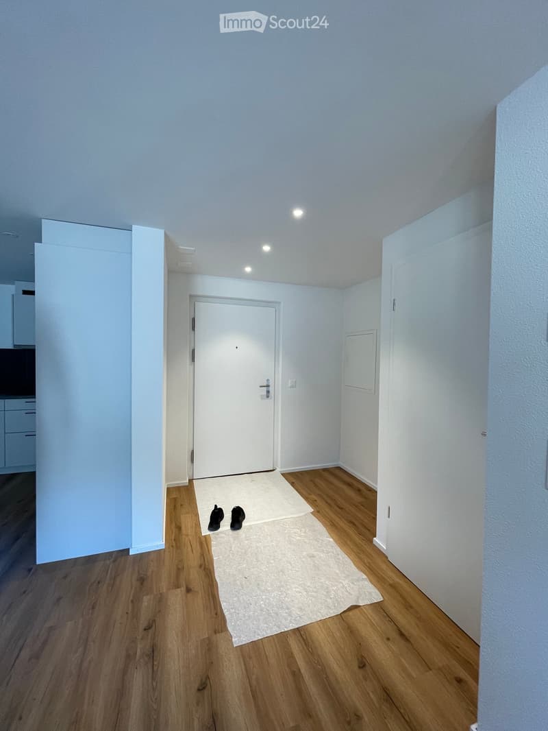Empty hallway with light blue walls, wooden flooring, and a white door at the end. A small white rug and a pair of black shoes are placed on the floor.