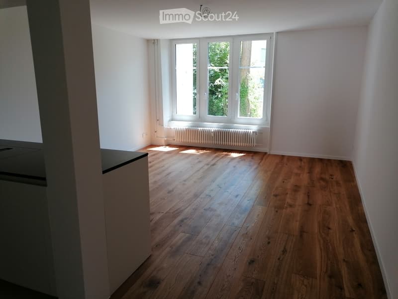 Completely empty room with wooden flooring, white walls, and large windows with a radiator below them.
