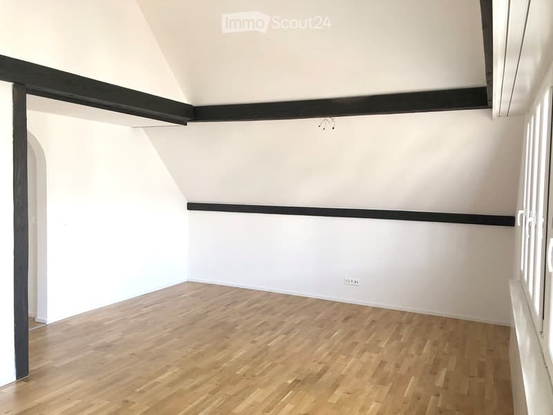 Moderne 2.5-Zimmer-Dachwohnung mit Balkon an zentraler Lage (6)