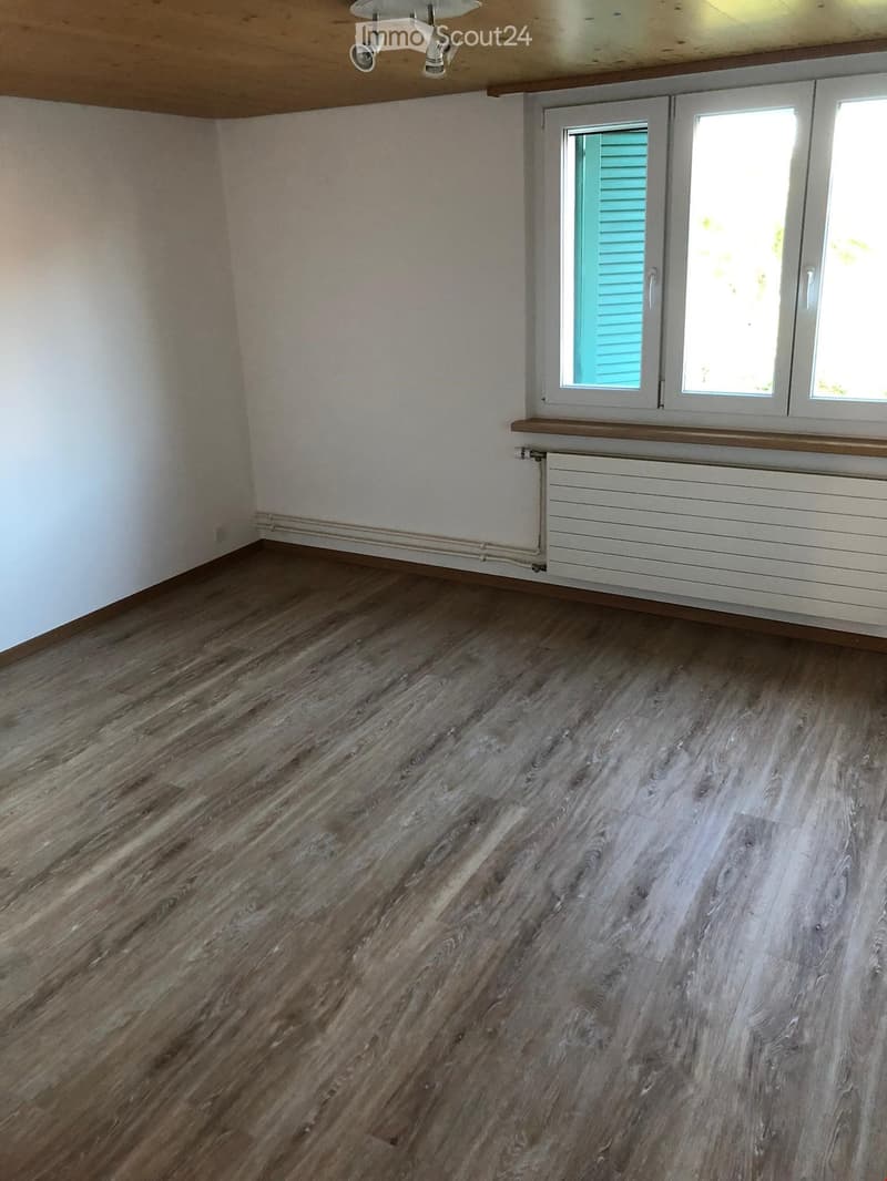 Empty room with wooden flooring, white walls, and a window with green shutters. A radiator is visible below the window.