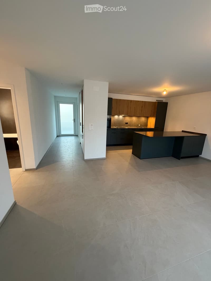 Empty hallway leading to a modern kitchen area with dark cabinets, a countertop, and built-in appliances.