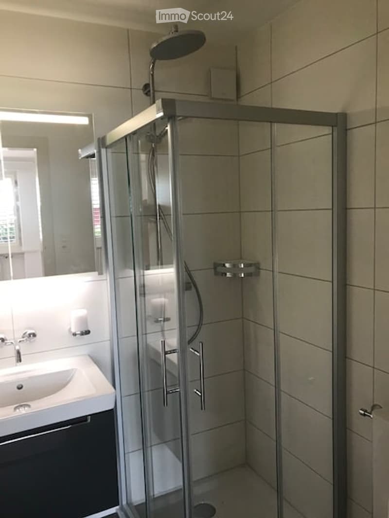 Modern bathroom with a glass-enclosed shower stall, a white sink with a mirror, and a sleek faucet.