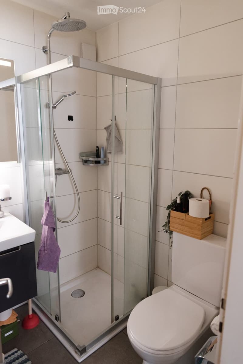 Modern bathroom with a glass-enclosed shower, toilet, sink, and various toiletries neatly arranged on shelves and surfaces.