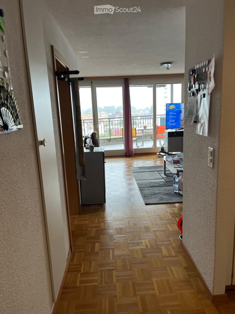 Hardwood floor, sliding glass doors, balcony, flat screen tv, living area, rug, cabinet