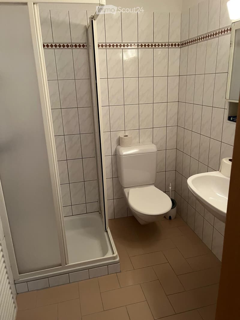 small bathroom with shower stall, toilet, sink, and toilet brush