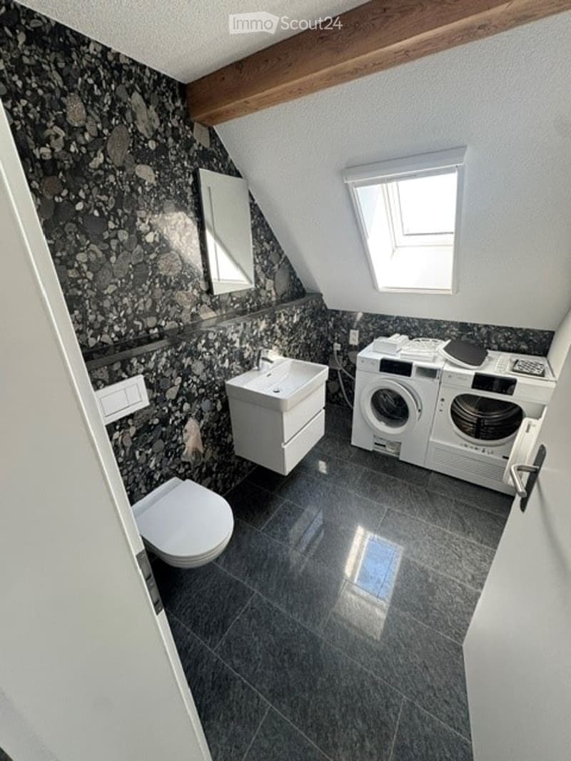 Modern bathroom with dark tiled walls and floor, white fixtures, and a skylight window above the washing machine.