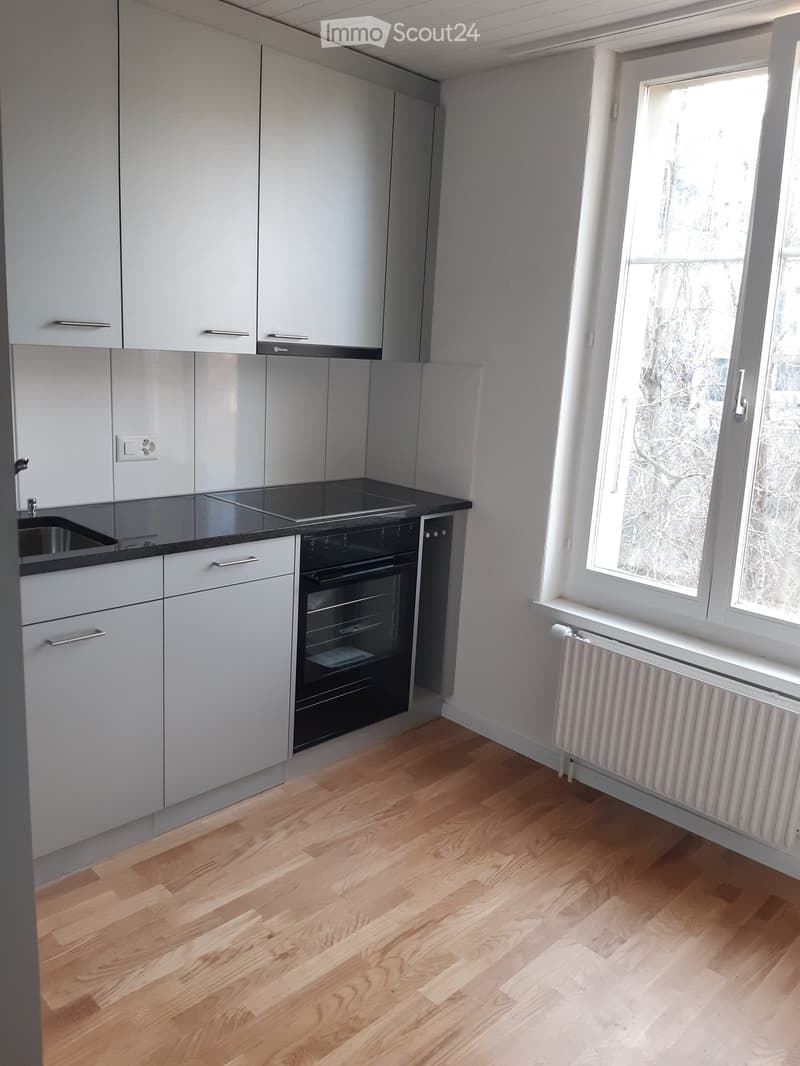 Modern kitchen with light grey cabinets, black countertop, sink, oven, and wooden flooring.