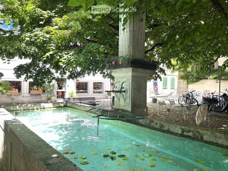 The image shows a public outdoor space with a small fountain or water feature in the center. The area is surrounded by lush green trees and vegetation, creating a serene and peaceful atmosphere. There are benches and bicycles visible, suggesting this is a