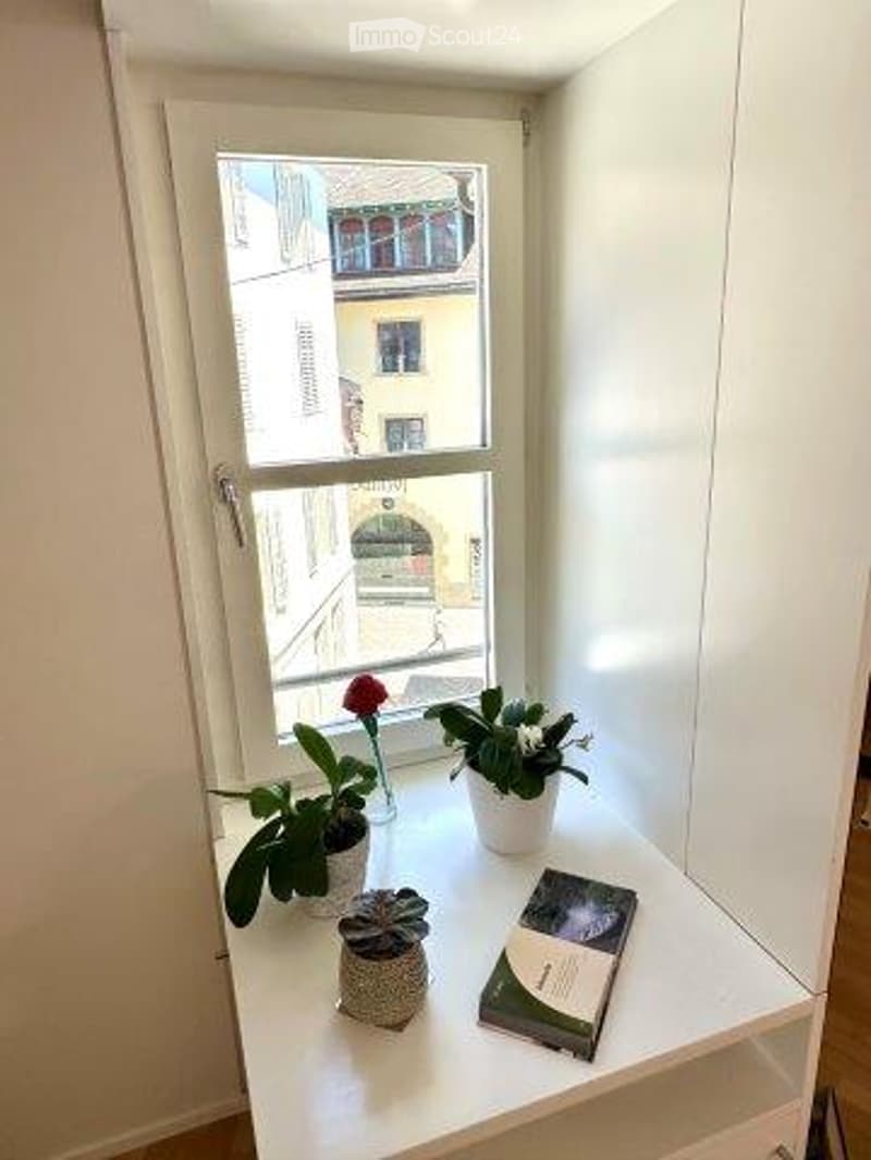 The image shows a room with a large window overlooking a balcony or terrace. There are some potted plants on the windowsill and a small table or shelf with some books and other items on it.