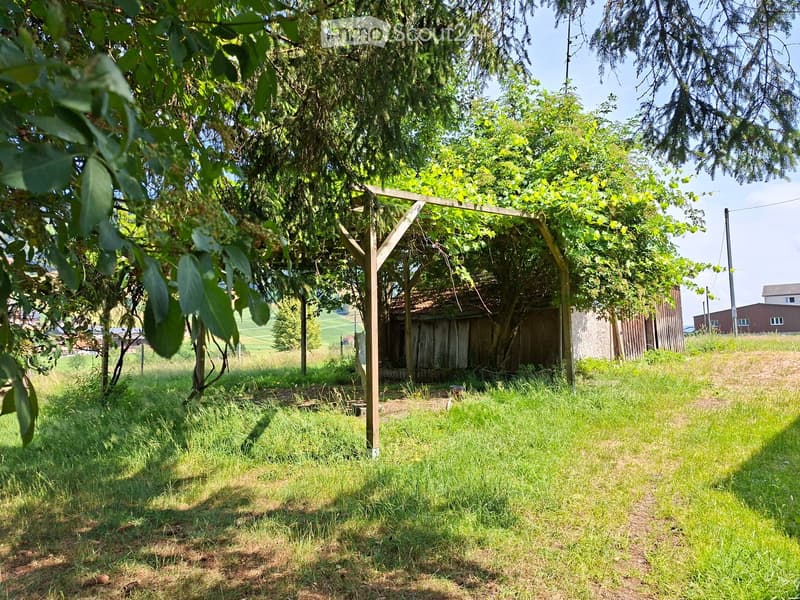 A grassy outdoor area with trees, a wooden pergola structure, and a small shed in the background.