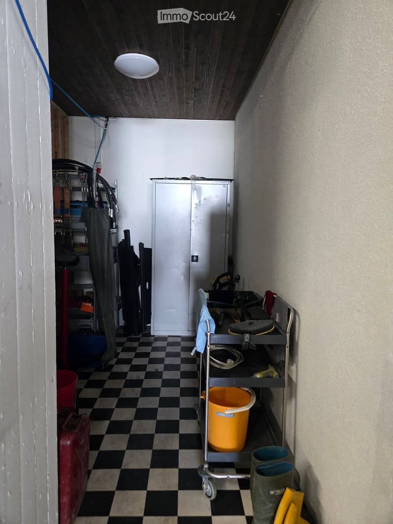 Utility hallway with checkered floor, metal shelving unit, various tools and equipment, and storage items.