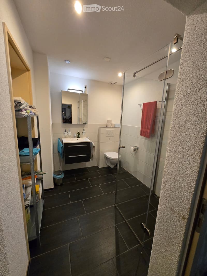 Modern bathroom with dark tiled floor, white walls, a sink with a mirror, a toilet, a glass-enclosed shower, and a towel rack with a red towel.