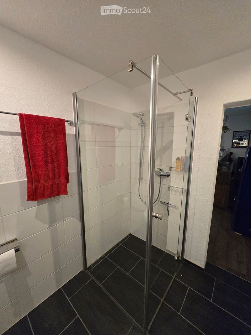 Modern bathroom with a glass-enclosed shower, red towel on a rack, and a toilet paper holder visible.