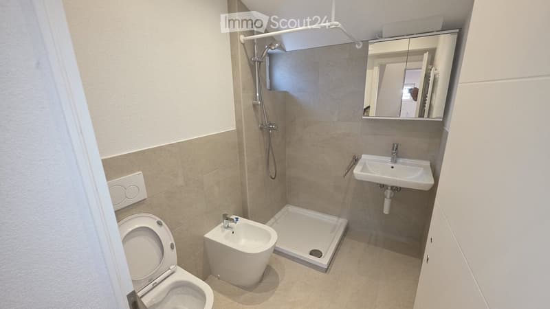 Modern bathroom with a toilet, bidet, sink, mirror, and shower area. Light-colored tiles and sleek fixtures.