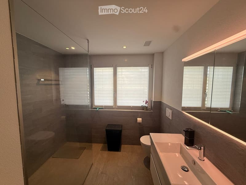 Modern bathroom with a large mirror, sink, toilet, and a glass-enclosed shower area. The room features wooden flooring and large windows with blinds.