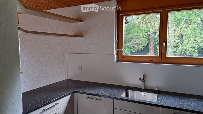Modern kitchen with grey countertops, stainless steel sink, and wooden window frames overlooking greenery.