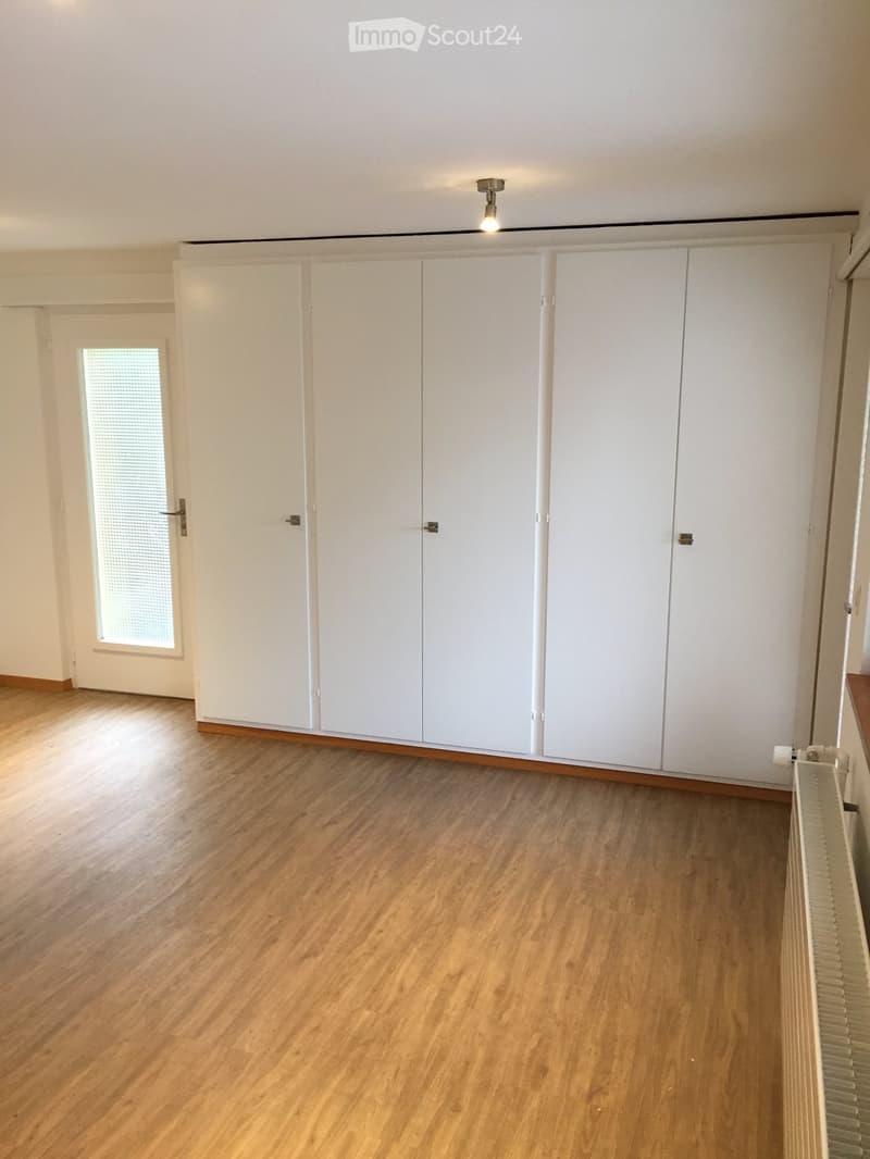 Empty room with wooden flooring, white built-in wardrobes, a frosted glass door, and a radiator on the right side.