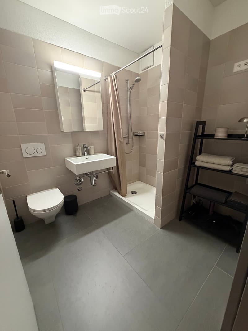 Modern bathroom with a toilet, sink, mirror, and walk-in shower. Features a towel rack with folded towels and a small stool near the toilet.
