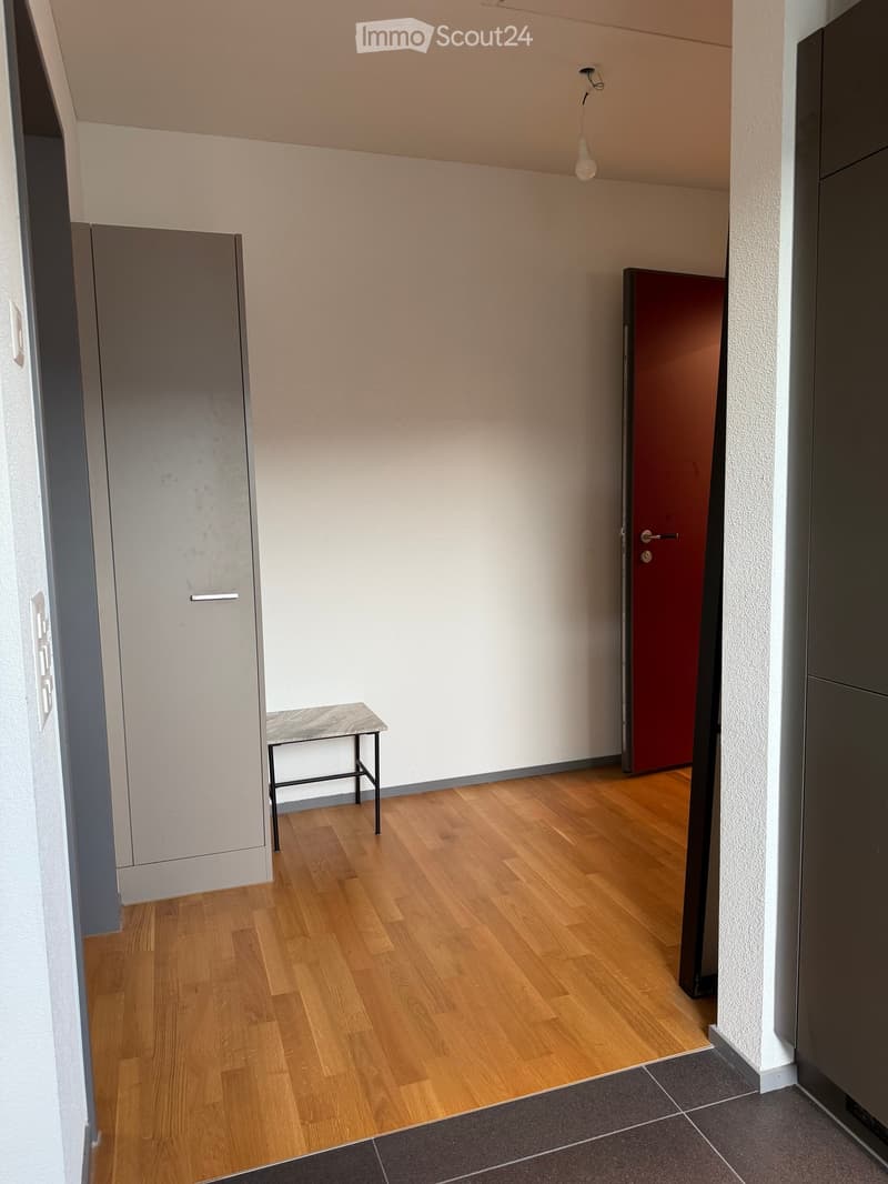 A narrow hallway with wooden flooring, white walls, and a small stool placed against the wall. There is a red door at the end of the hallway and a grey cabinet on the left side.