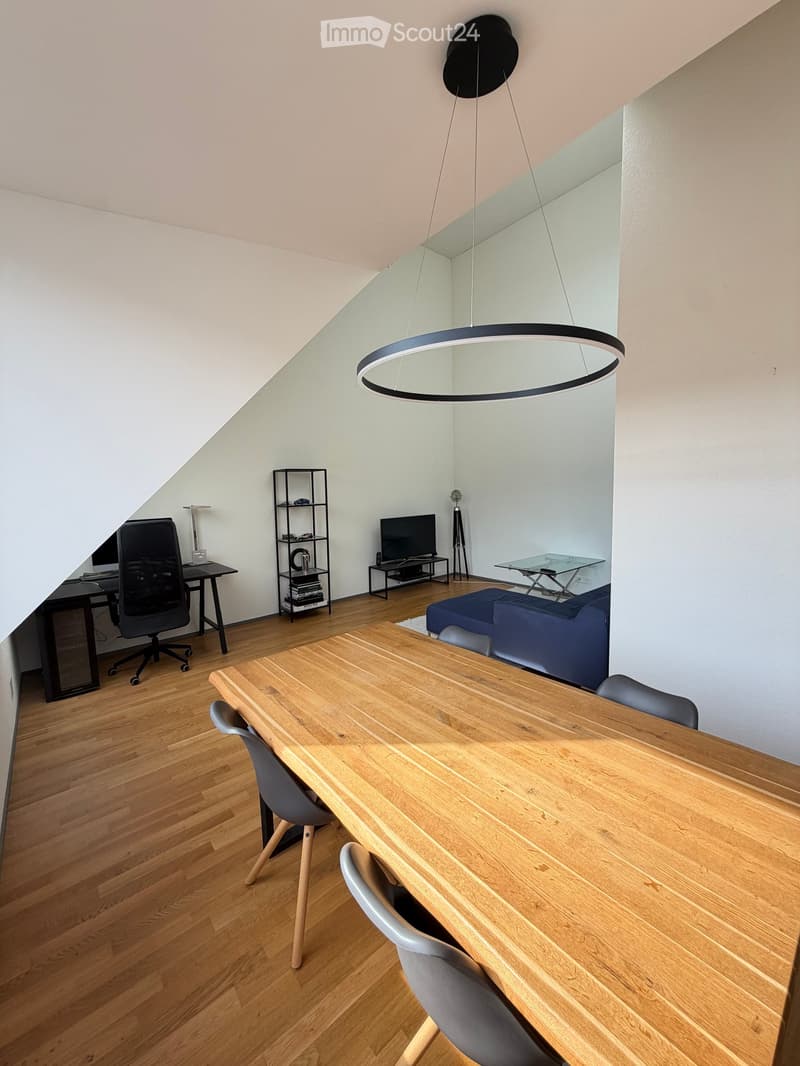 Modern living and dining area with wooden flooring, a large wooden dining table with chairs, a blue sofa, a TV stand, a shelf, and a hanging circular light fixture.