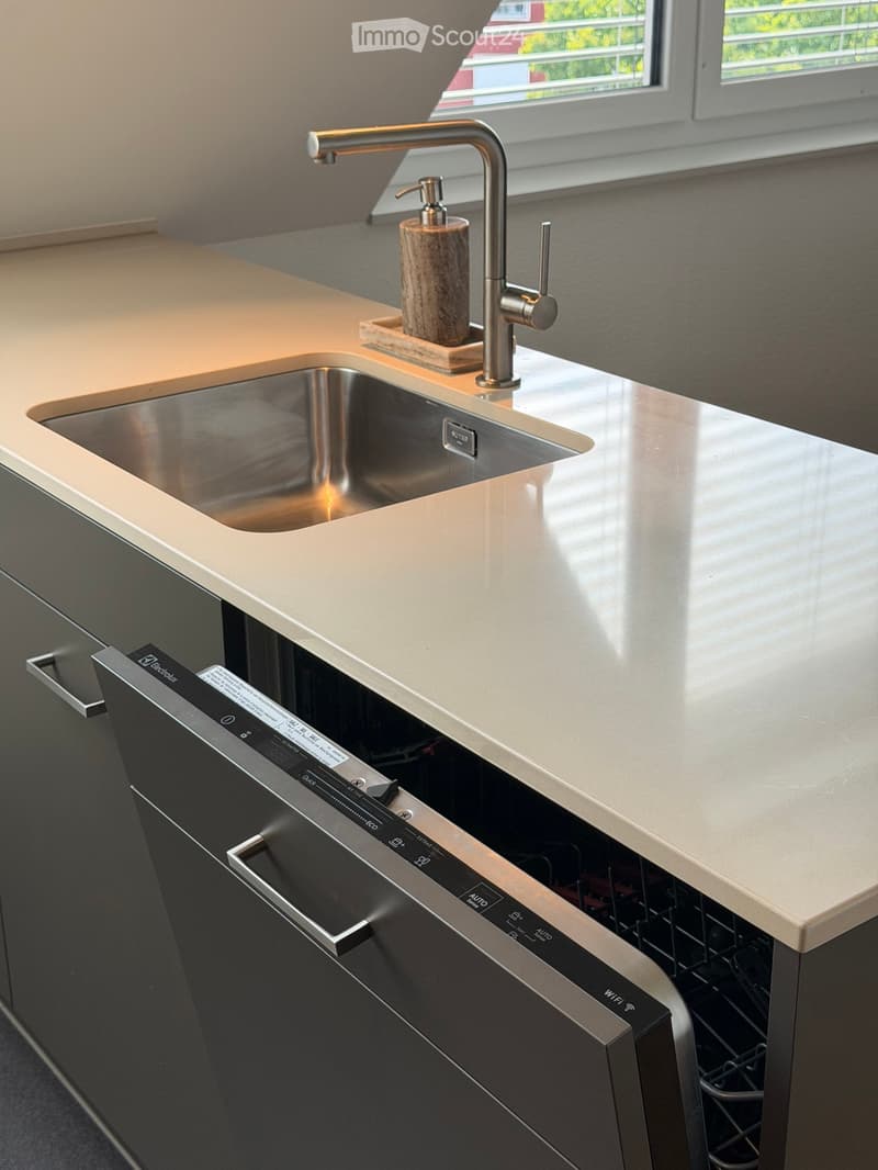 Modern kitchen with a stainless steel sink, sleek faucet, and built-in dishwasher with control panel.