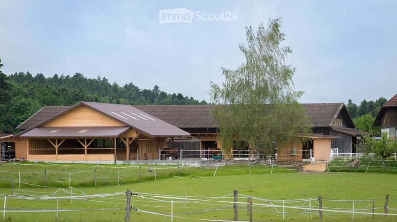 A large wooden stable with a fenced grassy area, surrounded by trees and a forested background.