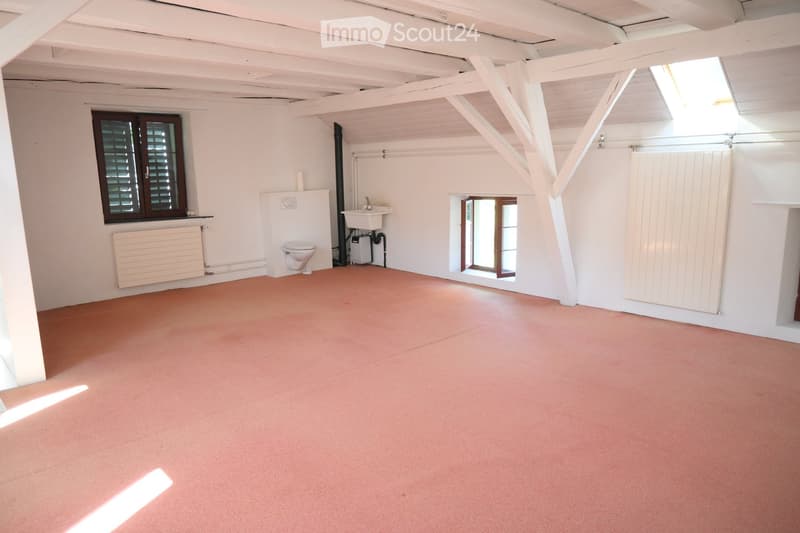 Empty room with white walls, wooden beams on the ceiling, and a pink carpeted floor. Features include a toilet, sink, radiator, and windows with shutters.