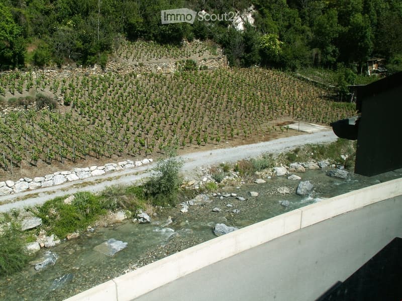 green vineyard, water stream, rock path, surrounding trees and plants