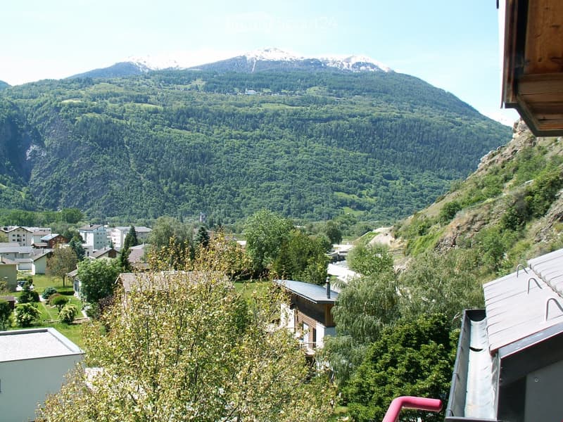 panoramic view of mountain village with lush trees and greenery
