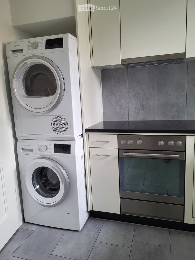 A modern bathroom with a white washing machine and a stainless steel dishwasher, white cabinets, and a grey tiled floor.