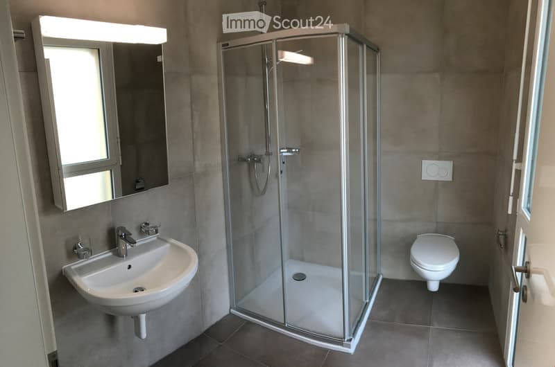 Modern bathroom with a glass-enclosed shower, a white sink with a mirror, and a toilet. The walls are grey, and the floor is tiled.