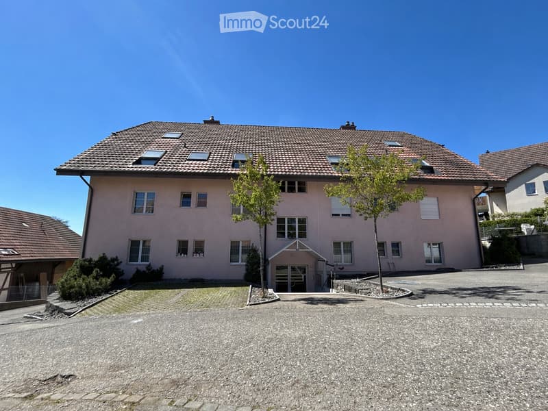Two-story house with a pink facade, multiple windows, and a tiled roof. The house has a small entrance porch and is surrounded by a paved driveway and some greenery.