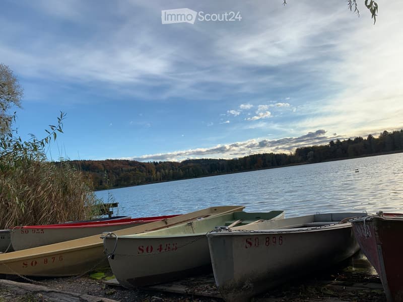 A serene lakeside scene with several small boats docked along the shore, surrounded by tall reeds and a forested landscape under a partly cloudy sky.