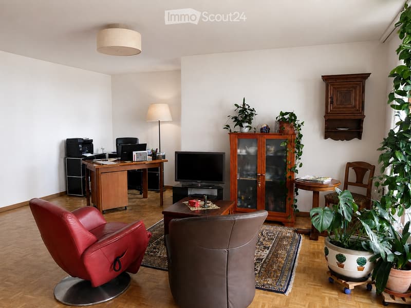 A well-furnished room with a red leather chair, a grey leather chair, a wooden cabinet, a TV, a desk with a computer, and several potted plants.