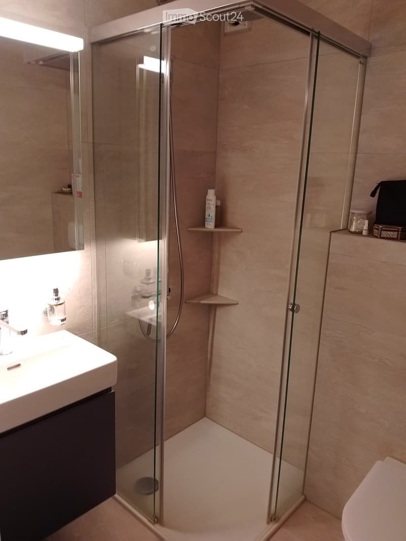 Modern bathroom with a glass-enclosed shower, a white sink with a chrome faucet, a toilet, and a shelf holding a bottle of shampoo.