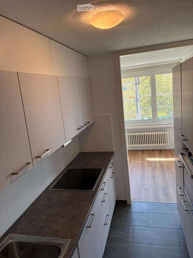 Modern kitchen with white cabinets, stainless steel sink, induction stove, and a view to a wooden-floored living area through large windows.