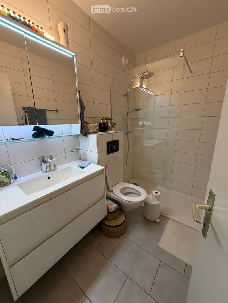 Modern bathroom with a white sink, toilet, shower, and mirrored cabinet. Includes towels, toiletries, and a wicker basket on the floor.