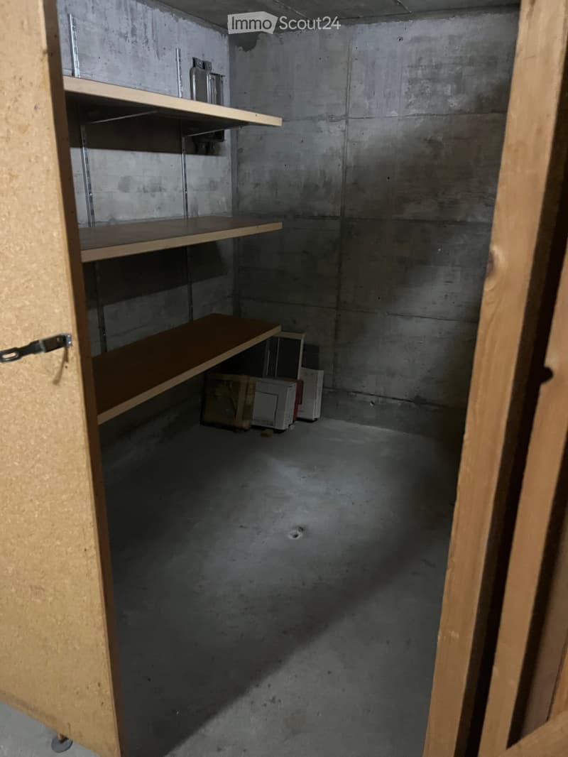 Empty storage room with concrete walls and floor, wooden shelves, and a small metal rack.