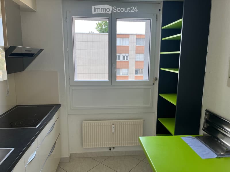 Modern kitchen with induction stove, sink, radiator, green table, and built-in cabinets.