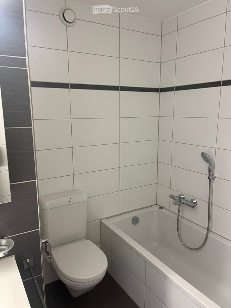 Modern bathroom with white tiles, a toilet, a bathtub, and a showerhead with a handheld hose.