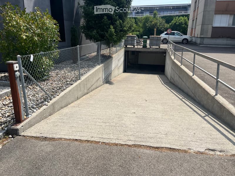 A raised ground floor entrance leading to a garage area, with a metal fence on one side and a railing on the other, surrounded by greenery and a parked car in the background.