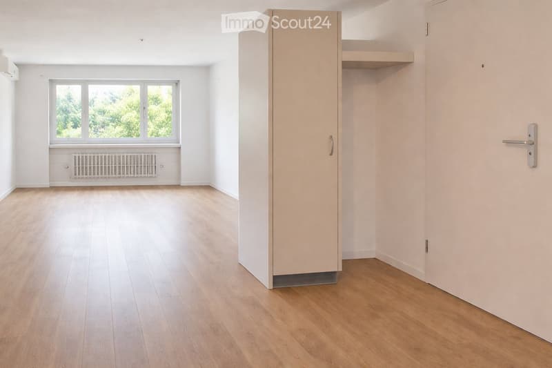 Empty room with light wooden flooring, white walls, and a large window with a radiator below it. A built-in closet with shelves is visible on the right side.