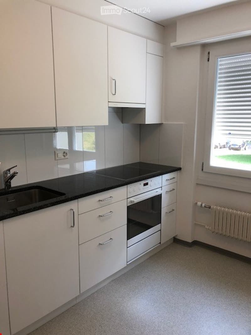 modern kitchen, white cabinetry, granite countertops, built-in dishwasher, private washing machine, central heating, sink, faucet