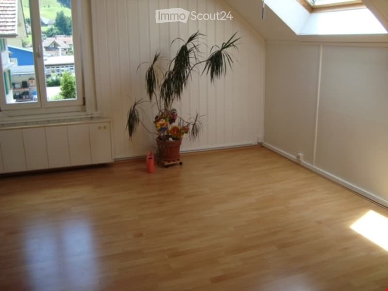 Empty room with wooden flooring, white paneled walls, large window with view, and a potted plant near the window.