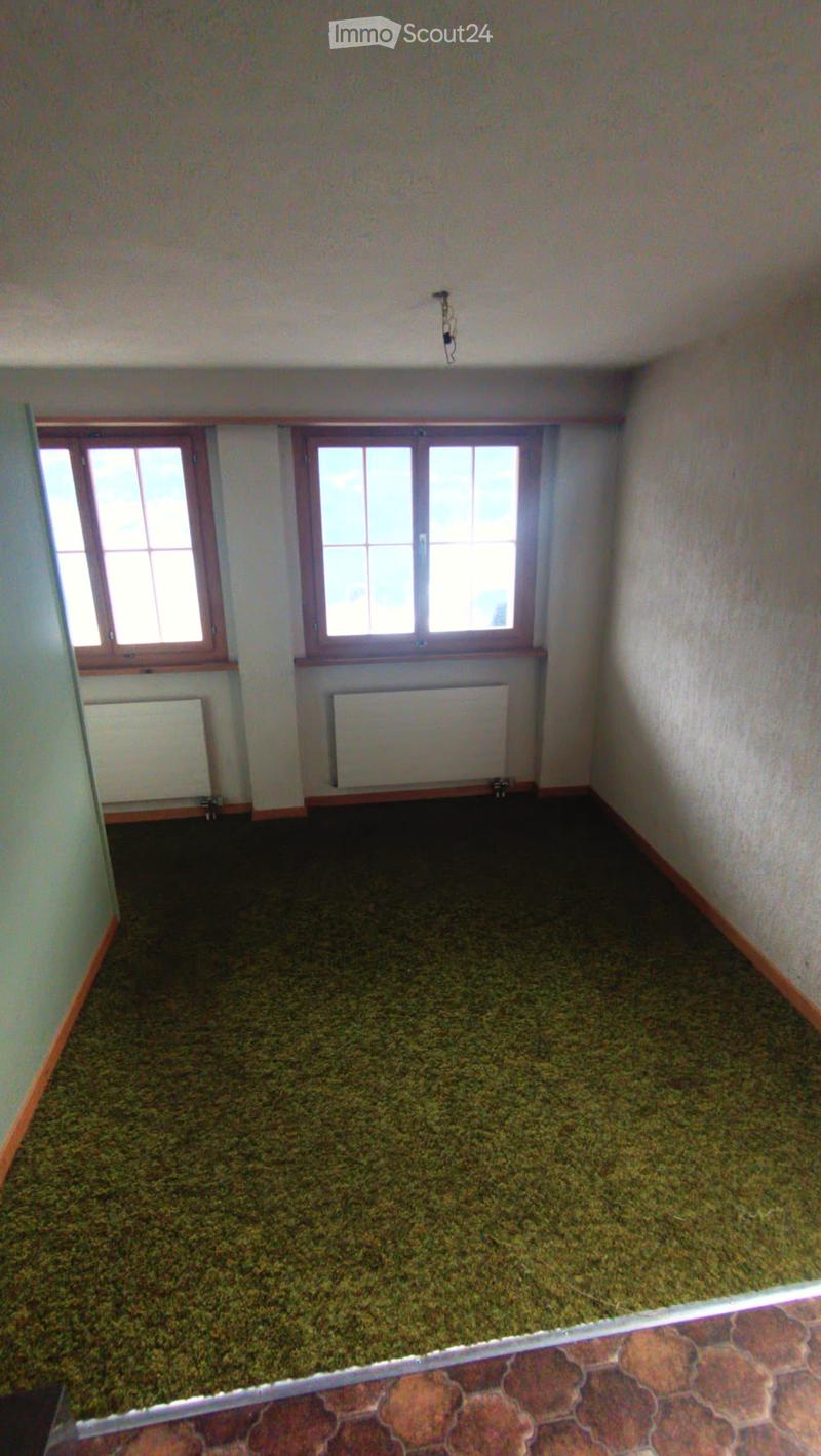 Empty room with beige walls, green carpet, two windows with wooden frames, and radiators beneath them.